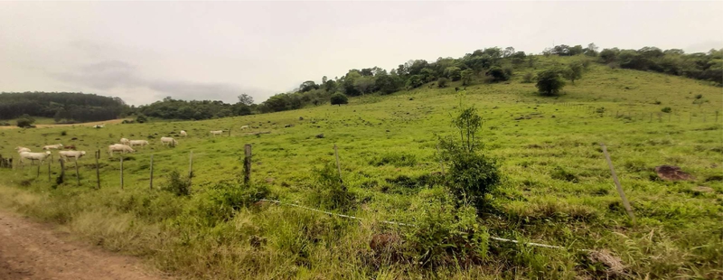 Lote Rural com 75.876,00 m² em Iraceminha/SC